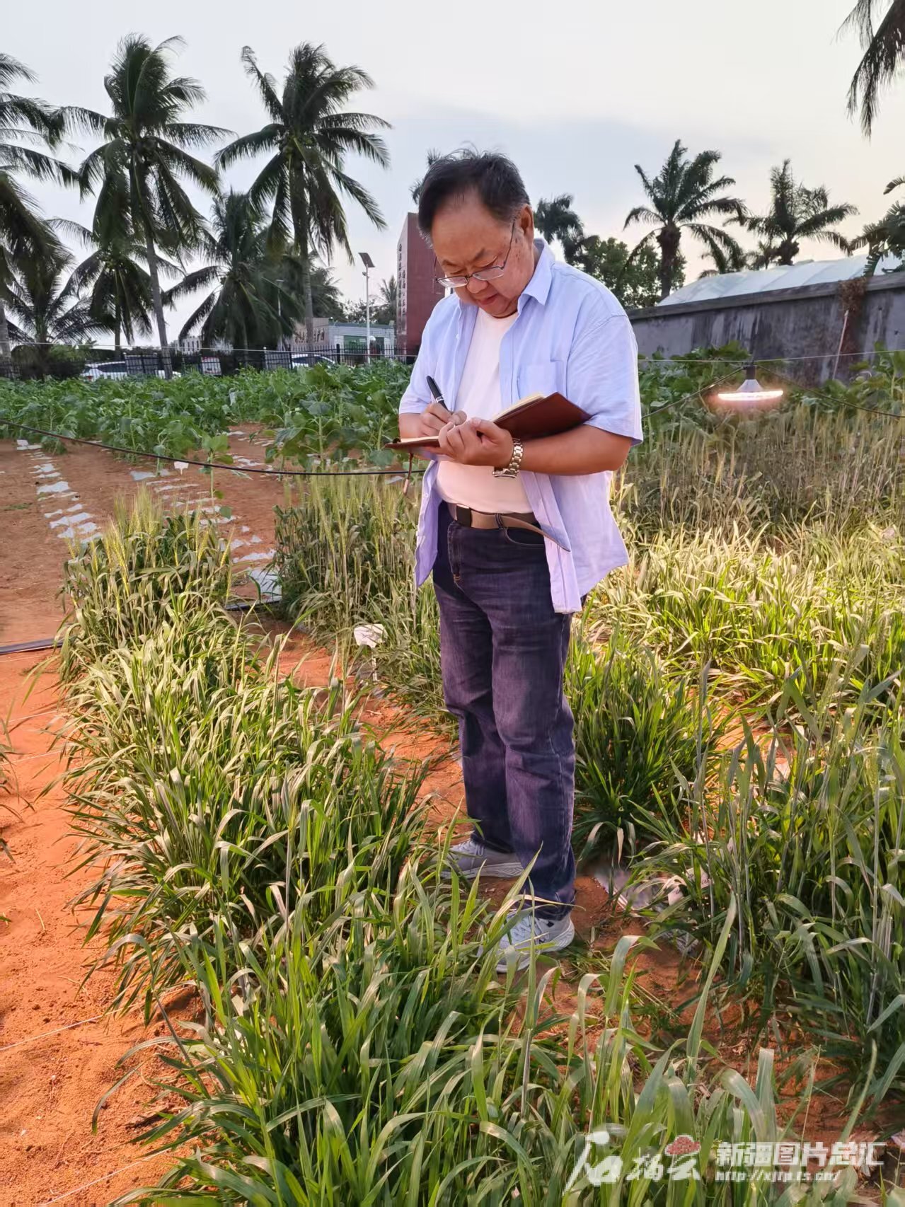 mmexport1740637353260